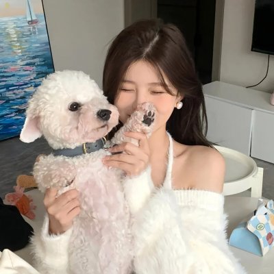 结婚白皮书